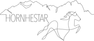 Horn Hestar